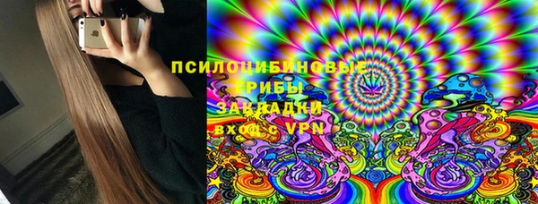 ешки Вязьма