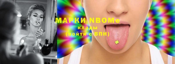 прущие грибы Гусев