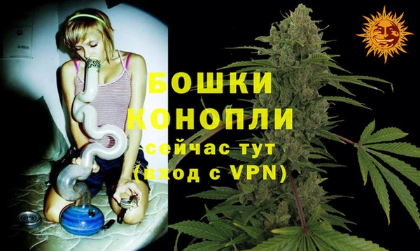 ешки Вязьма