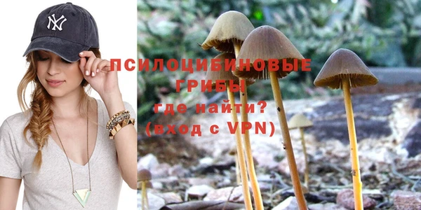 каннабис Горно-Алтайск